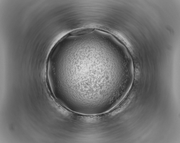 X0000111670948200907311156