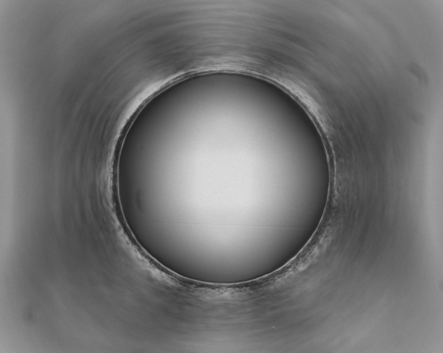 X0000111670949200907311156