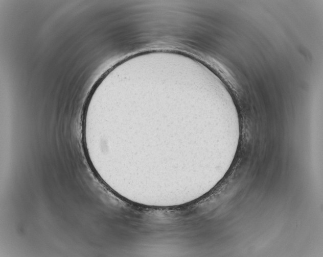 X0000111670950200907311156