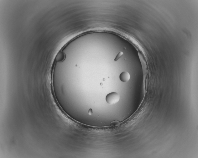 X0000111670951200907311156