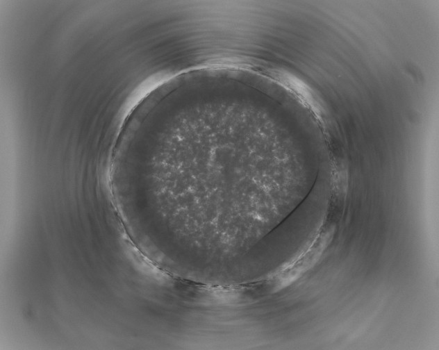 X0000111670952200907311156