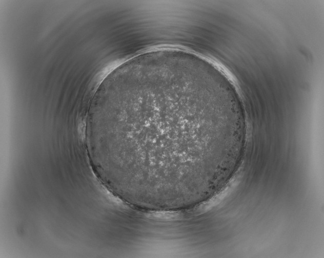 X0000111670953200907311156