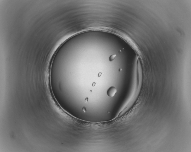 X0000111670955200907311156