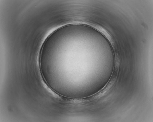 X0000111670958200907311156