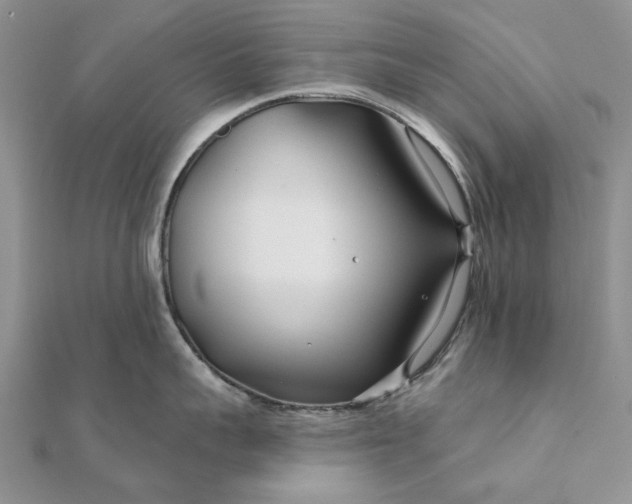 X0000111670959200907311156