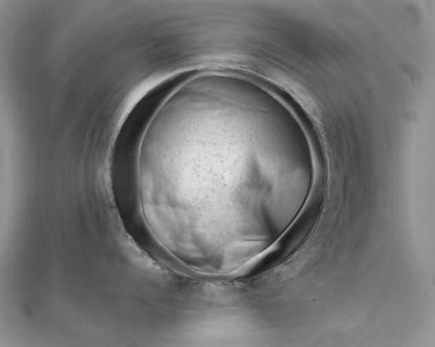 X0000111670960200907311156