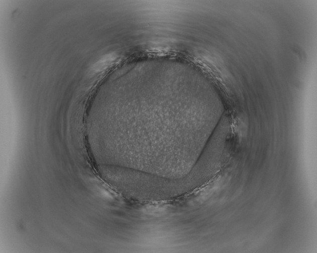 X0000111670961200907311155