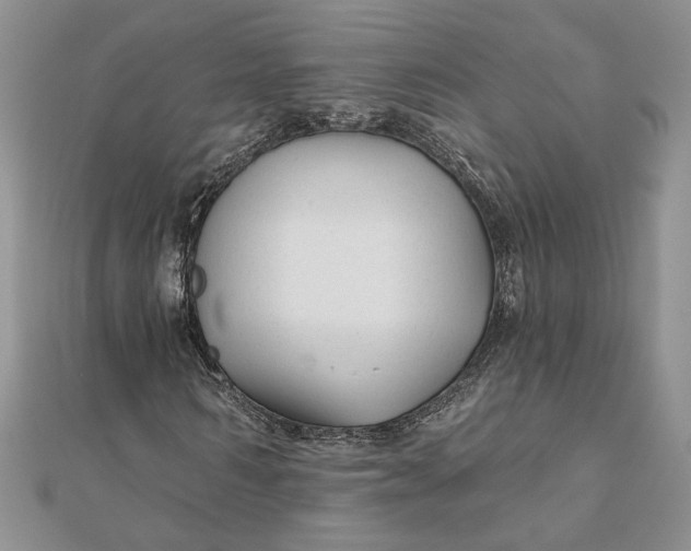 X0000111670962200907311155