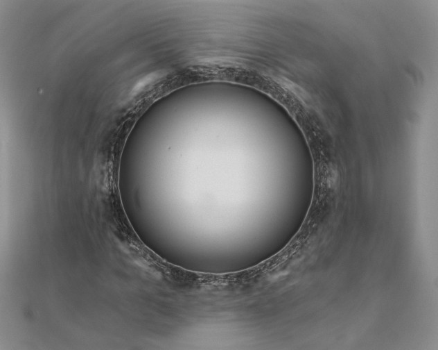 X0000111670965200907311155