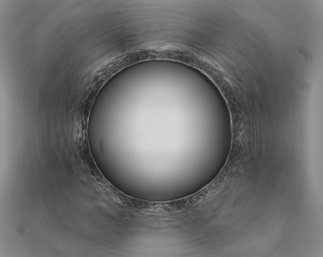 X0000111670966200907311155