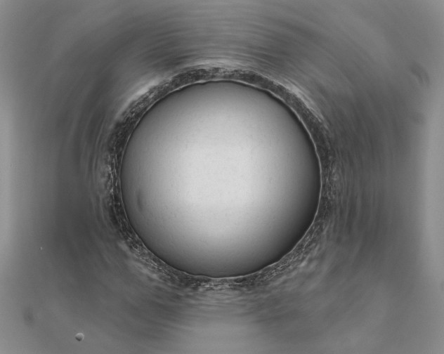 X0000111670967200907311155