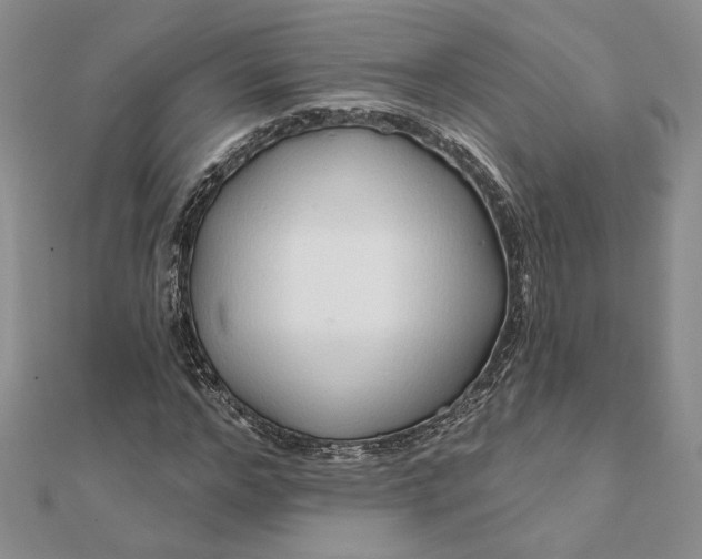 X0000111670968200907311155