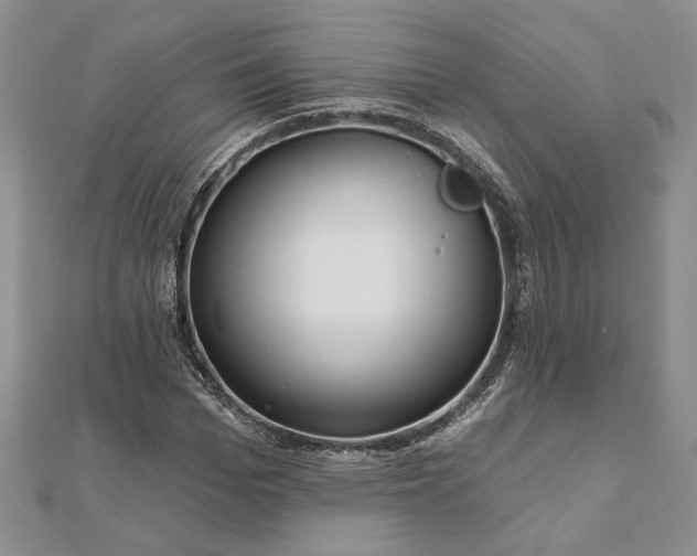 X0000111670969200907311155