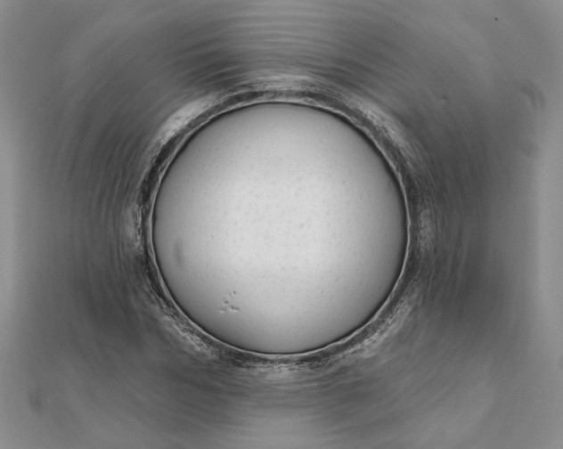 X0000111670970200907311155