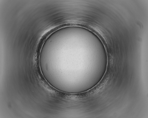 X0000111670971200907311155