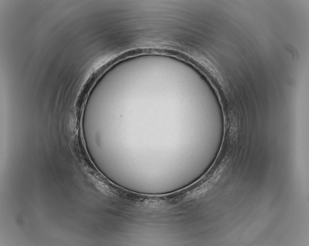 X0000111670974200907311155