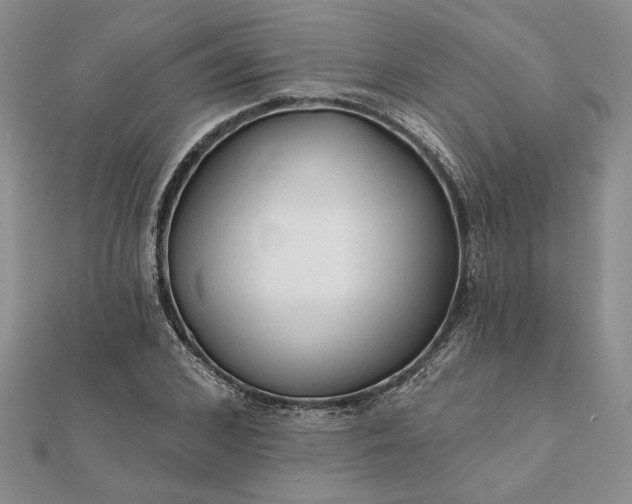 X0000111670976200907311155