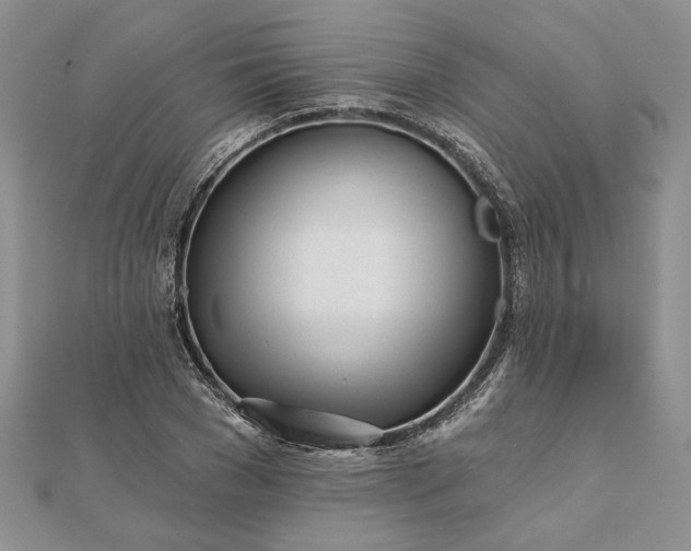 X0000111670977200907311155