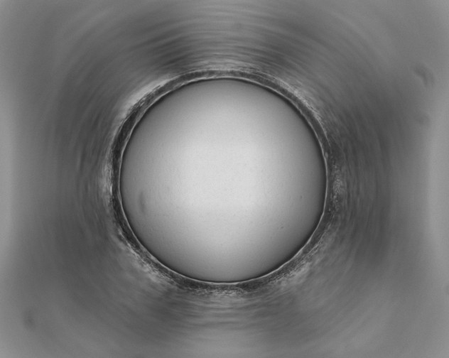 X0000111670979200907311155