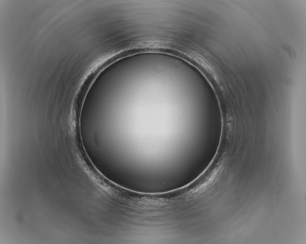 X0000111670981200907311155