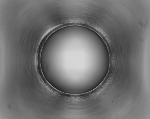 X0000111670983200907311155