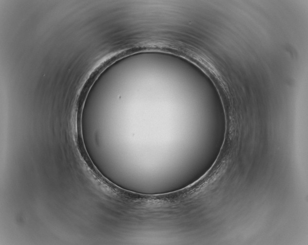 X0000111670984200907311155