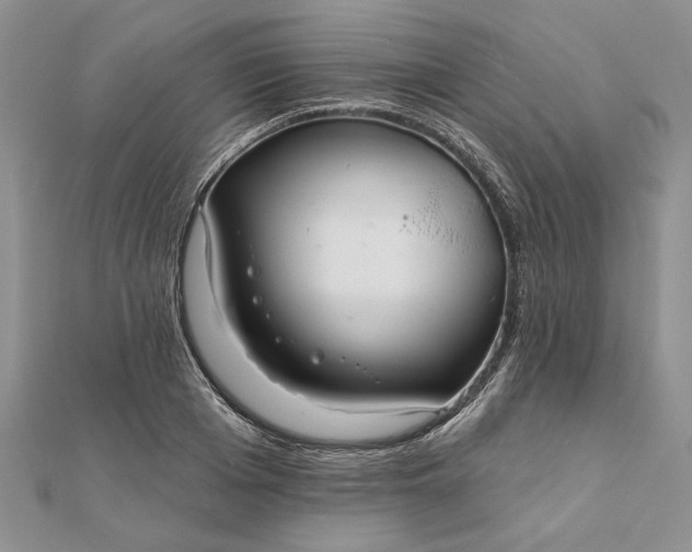 X0000111670985200907311155