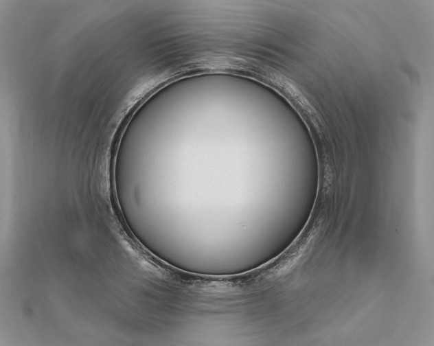 X0000111670986200907311155