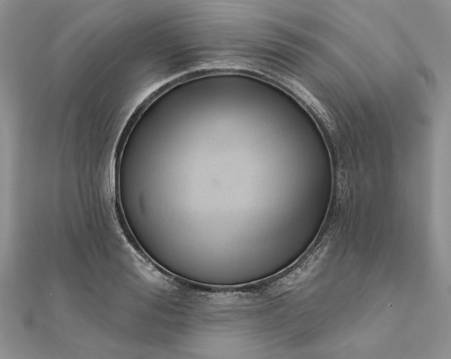 X0000111670988200907311155