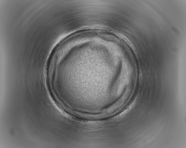 X0000111670989200907311155