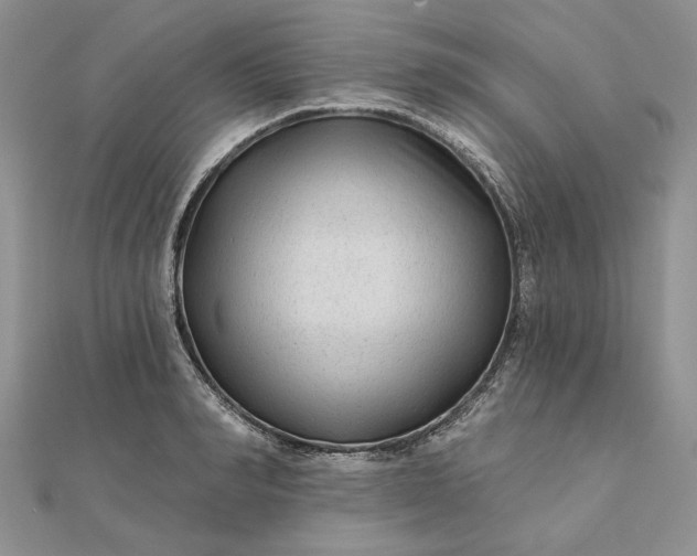 X0000111670990200907311155