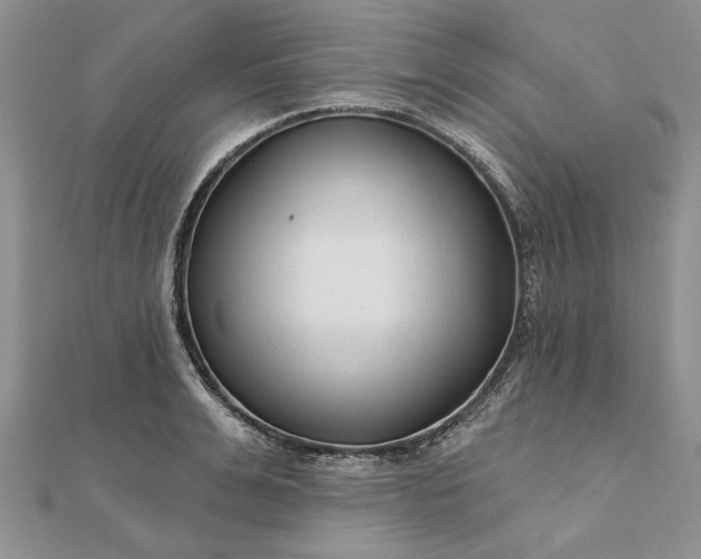 X0000111670991200907311155