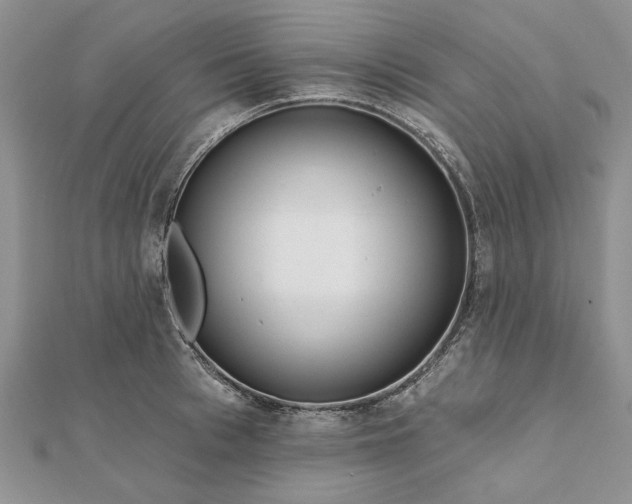 X0000111670993200907311155