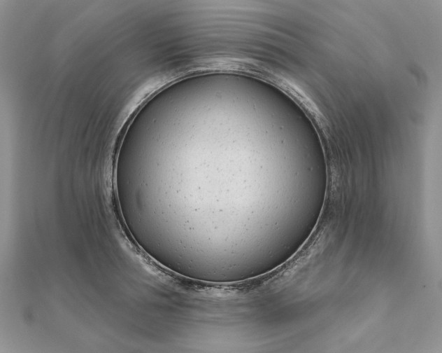 X0000111670994200907311154