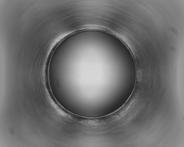 X0000111670995200907311154