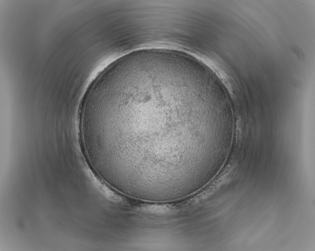 X0000111670998200907311154