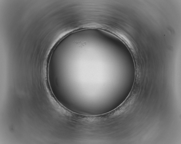 X0000111671000200907311154