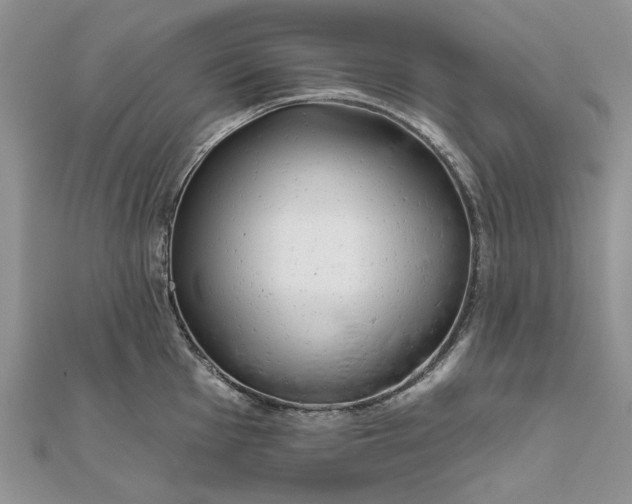 X0000111671001200907311154