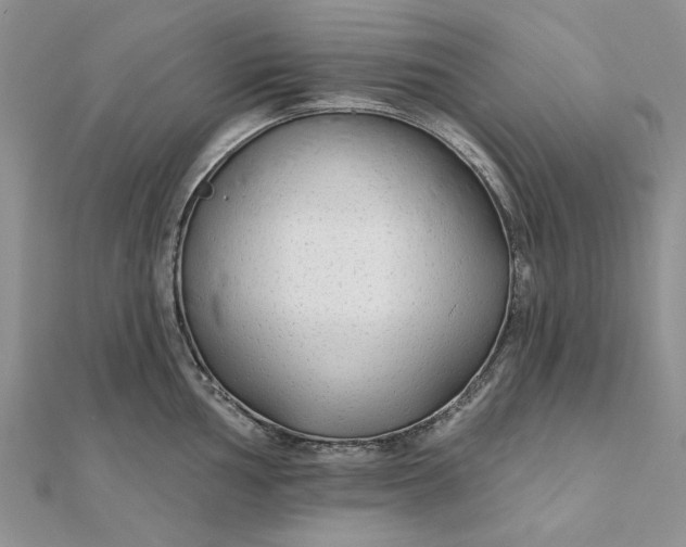 X0000111671002200907311154