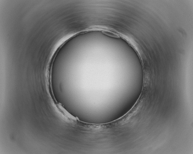 X0000111671003200907311154