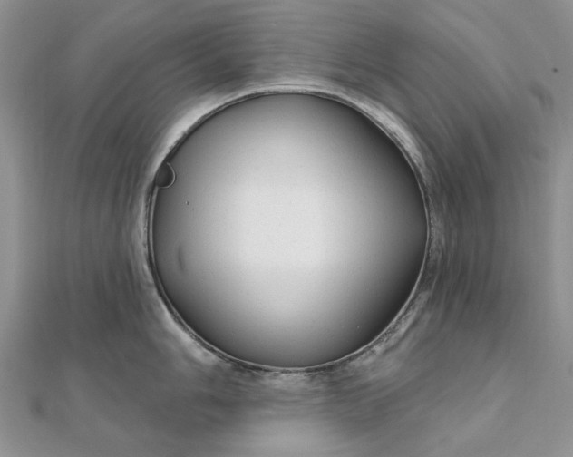 X0000111671006200907311154