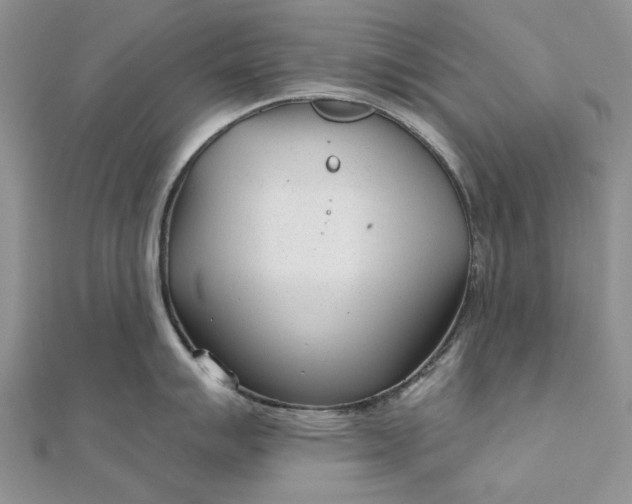 X0000111671007200907311154