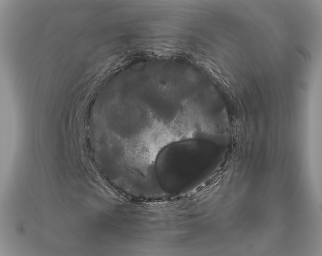 X0000111671009200907311154