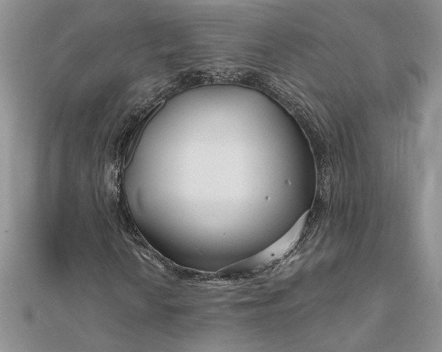 X0000111671010200907311154