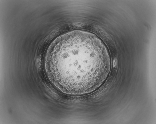 X0000111671011200907311154