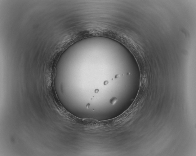 X0000111671012200907311154