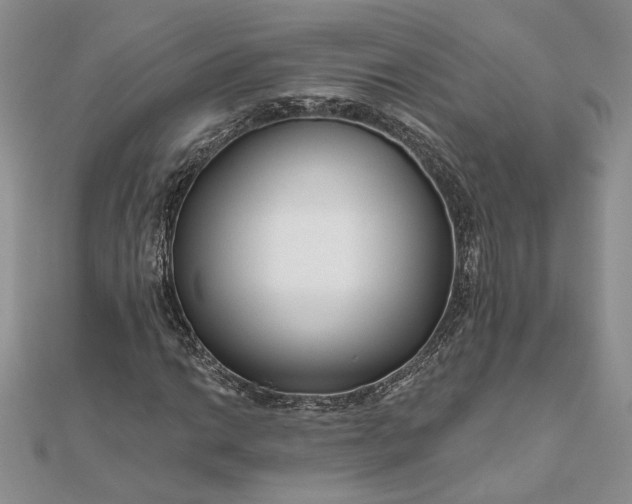 X0000111671014200907311154