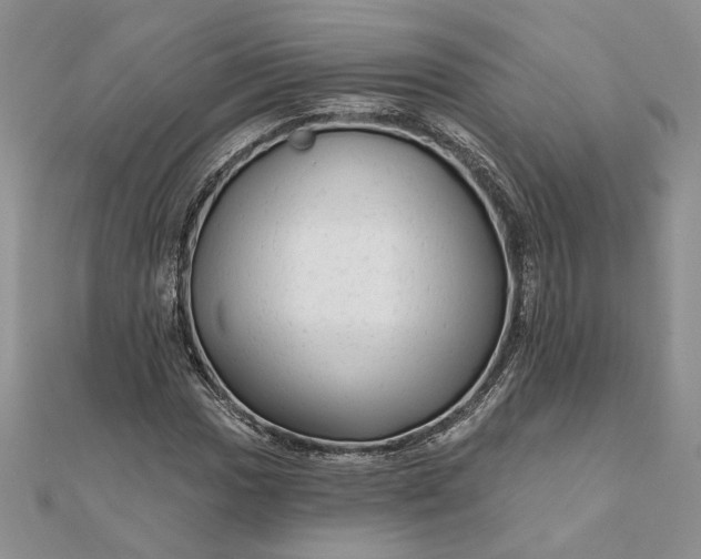 X0000111671017200907311154