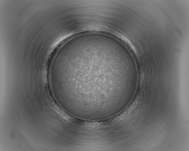 X0000111671019200907311154