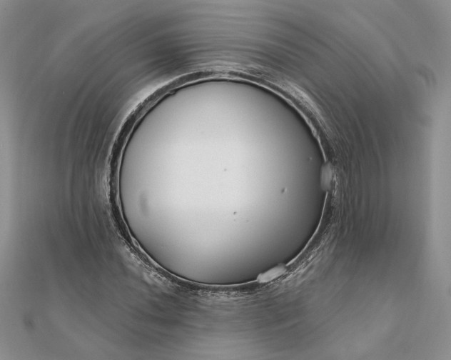 X0000111671020200907311154